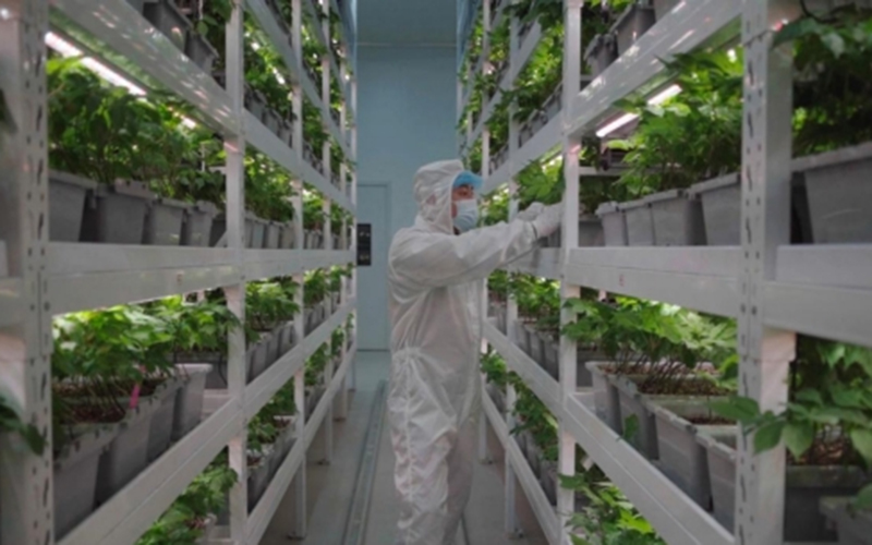 智能培育车间。文成县融媒体中心供图