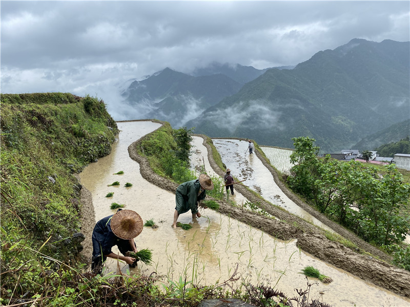 【生物多樣性保護】在錢江源頭，看生物多樣性保護的中國樣本