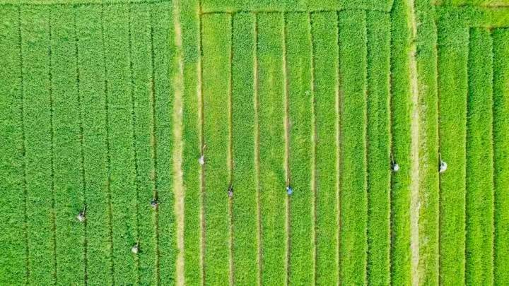 擴(kuò)大中等收入群體 扎實(shí)推進(jìn)共同富裕