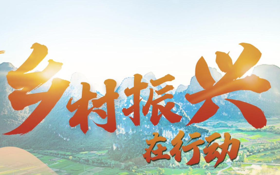 鄉(xiāng)村振興在行動