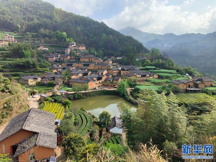 浙江松陽：老屋新生 點(diǎn)亮古村里的煙火