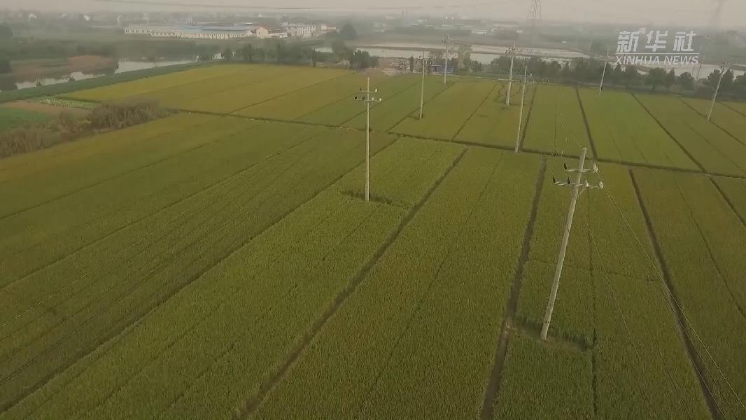 國內(nèi)首條配網(wǎng)跨區(qū)互聯(lián)智能故障自動修護線路在浙江投運