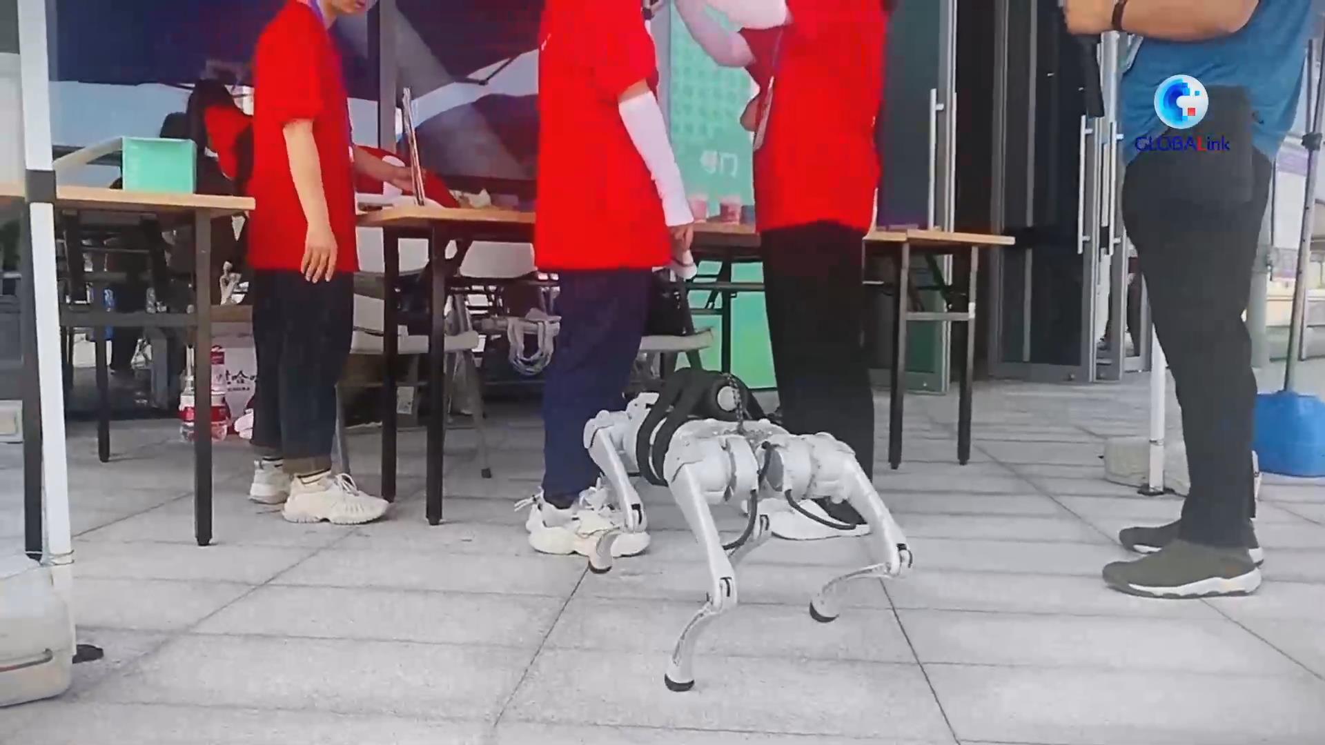 全球連線｜&ldquo;機器汪汪隊&rdquo;奔赴亞運場館開展工作