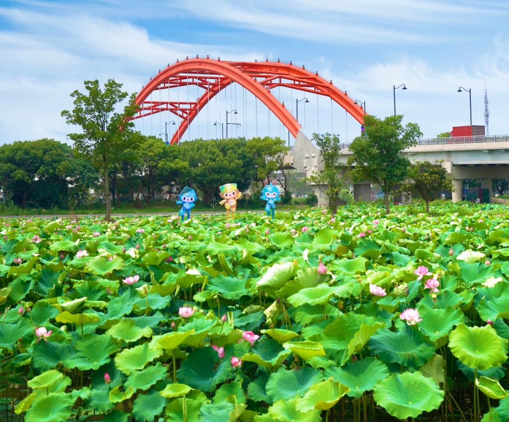 有&ldquo;顏值&rdquo;，更有&ldquo;產(chǎn)值&rdquo;&mdash;&mdash;杭州臨平美麗鄉(xiāng)村走訪見聞