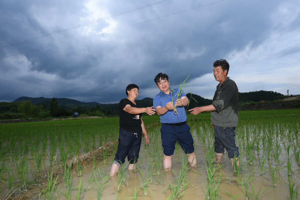 聽，田野里動(dòng)人的科技之歌&mdash;&mdash;科技特派員制度浙江20年實(shí)踐紀(jì)實(shí)