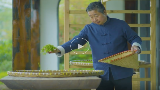 尋味中國丨&ldquo;徑&rdquo;待其香 一片葉子的&ldquo;游記&rdquo;